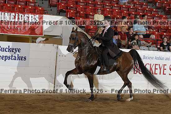 Proof 10buck_3526