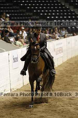 Proof 10buck_3527
