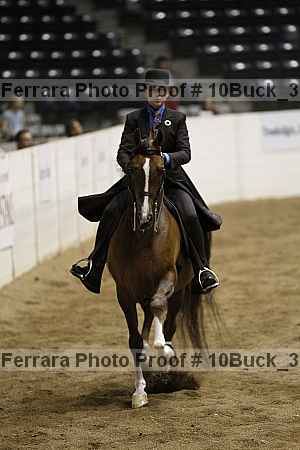 Proof 10buck_3528