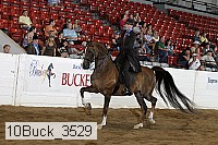 10buck_3529 proof