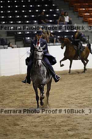 Proof 10buck_3530