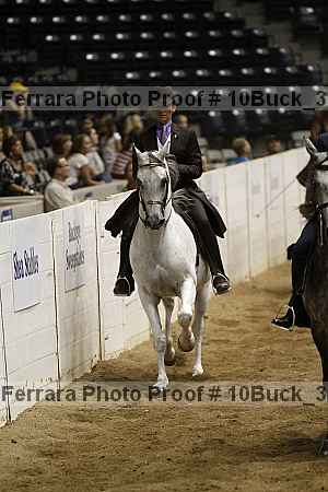 Proof 10buck_3531