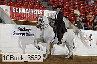 10buck_3532 proof