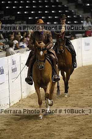 Proof 10buck_3533