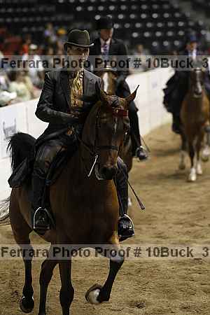 Proof 10buck_3534
