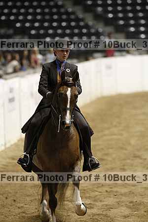 Proof 10buck_3538