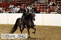 10buck_3542 proof