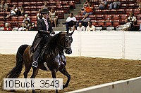 10buck_3543 proof