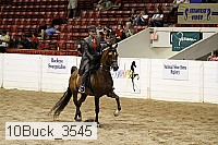10buck_3545 proof