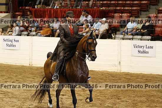 Proof 10buck_3546