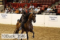 10buck_3546 proof