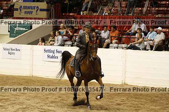 Proof 10buck_3547