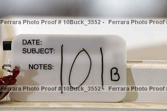 Proof 10buck_3552