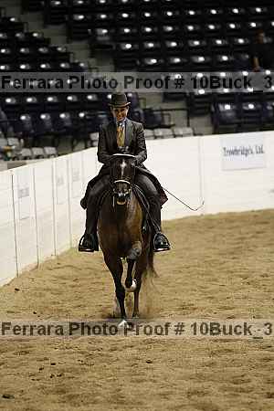 Proof 10buck_3553