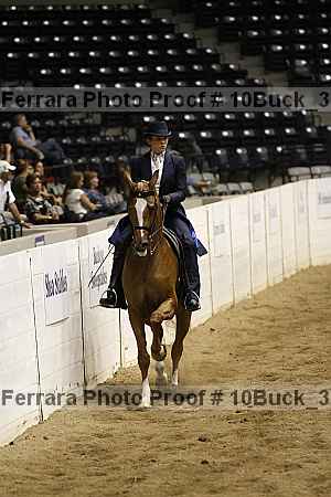 Proof 10buck_3556