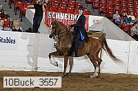 10buck_3557 proof