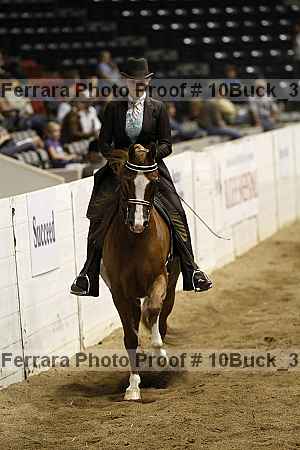 Proof 10buck_3563