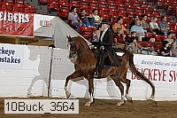 10buck_3564 proof