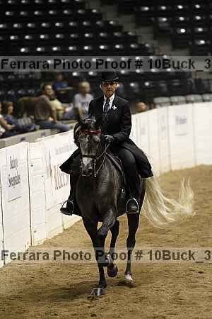 Proof 10buck_3567