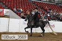 10buck_3569 proof