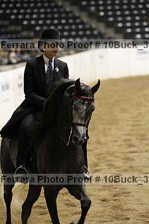 Proof 10buck_3570