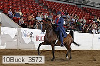 10buck_3572 proof