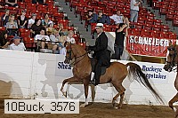 10buck_3576 proof