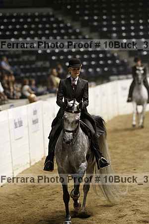 Proof 10buck_3577