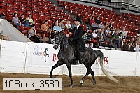 10buck_3580 proof