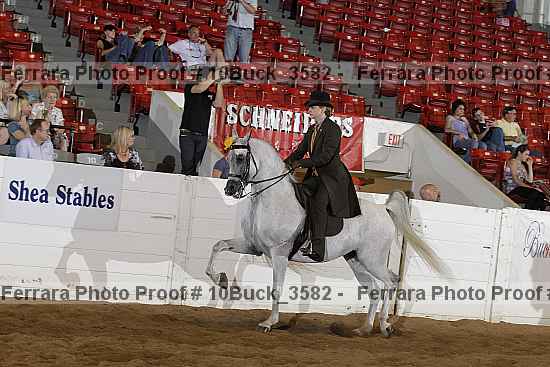 Proof 10buck_3582