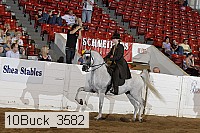 10buck_3582 proof