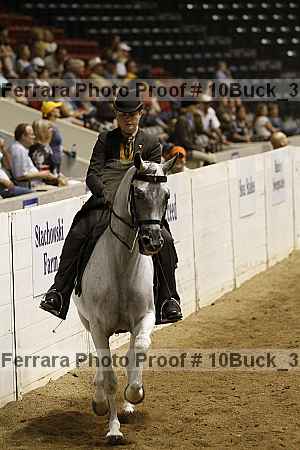 Proof 10buck_3583