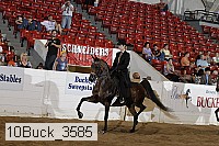 10buck_3585 proof