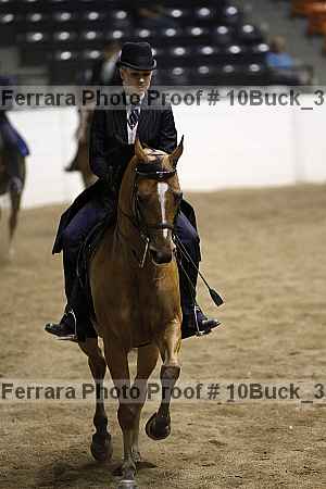 Proof 10buck_3587
