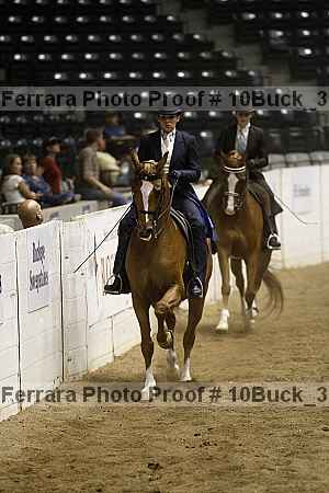Proof 10buck_3588