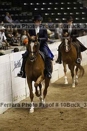 Proof 10buck_3589