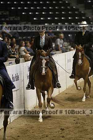 Proof 10buck_3590