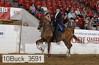 10buck_3591 proof
