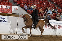 10buck_3592 proof