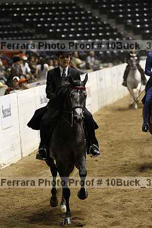 Proof 10buck_3593