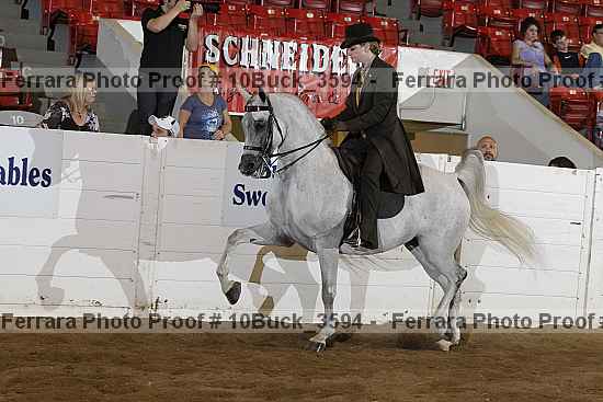 Proof 10buck_3594
