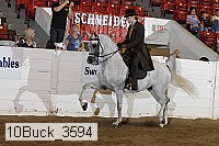 10buck_3594 proof