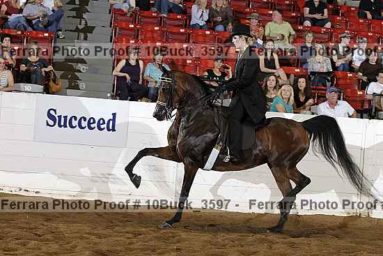 Proof 10buck_3597