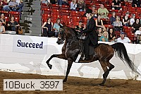 10buck_3597 proof
