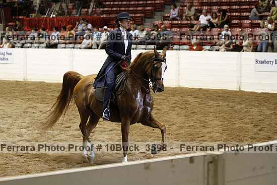 Proof 10buck_3598