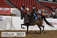 10buck_3601 proof