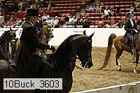10buck_3603 proof