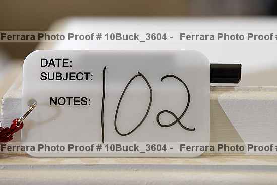 Proof 10buck_3604