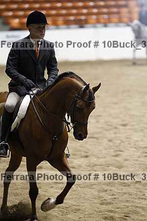 Proof 10buck_3607