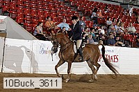 10buck_3611 proof